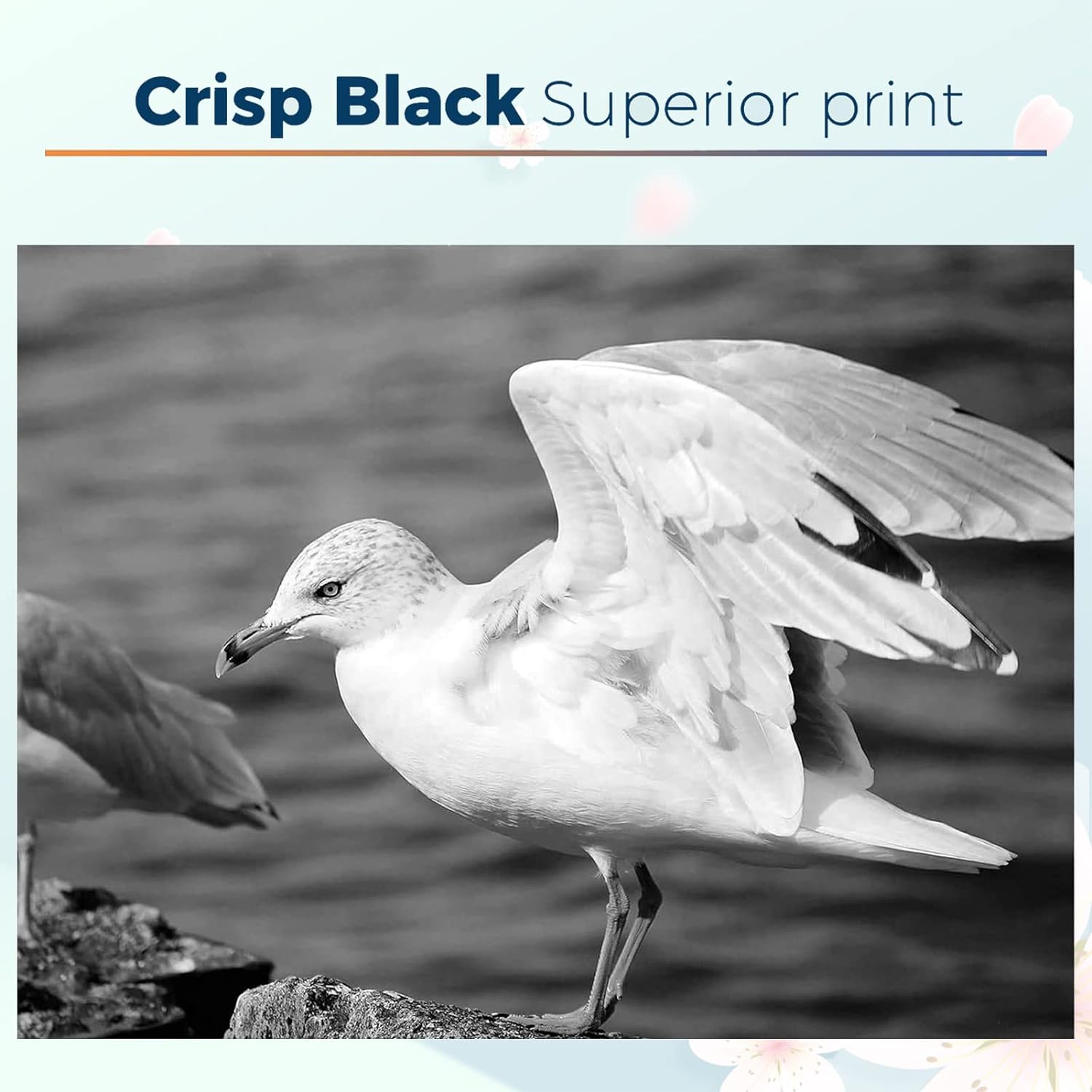 2 Pack Black inkcartridge for HP 65 XL Remanufactured Ink Cartridges Replacement for HP 65XL 65 XL for DeskJet 2622 2624 2652 2655 3720 3722 3752 3755 3758 HP Envy 5055 5052 5058 AMP 100 120 125 Printer - Office Catch