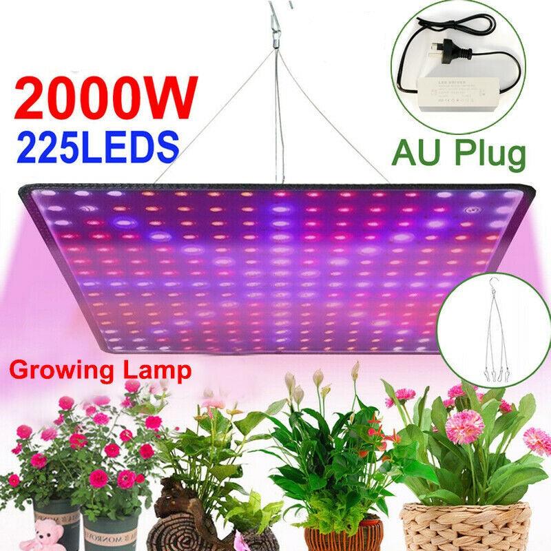 225 LED Grow Light 2000W Hydroponic Kit For Plants Flowers Vegetables Indoors - Office Catch