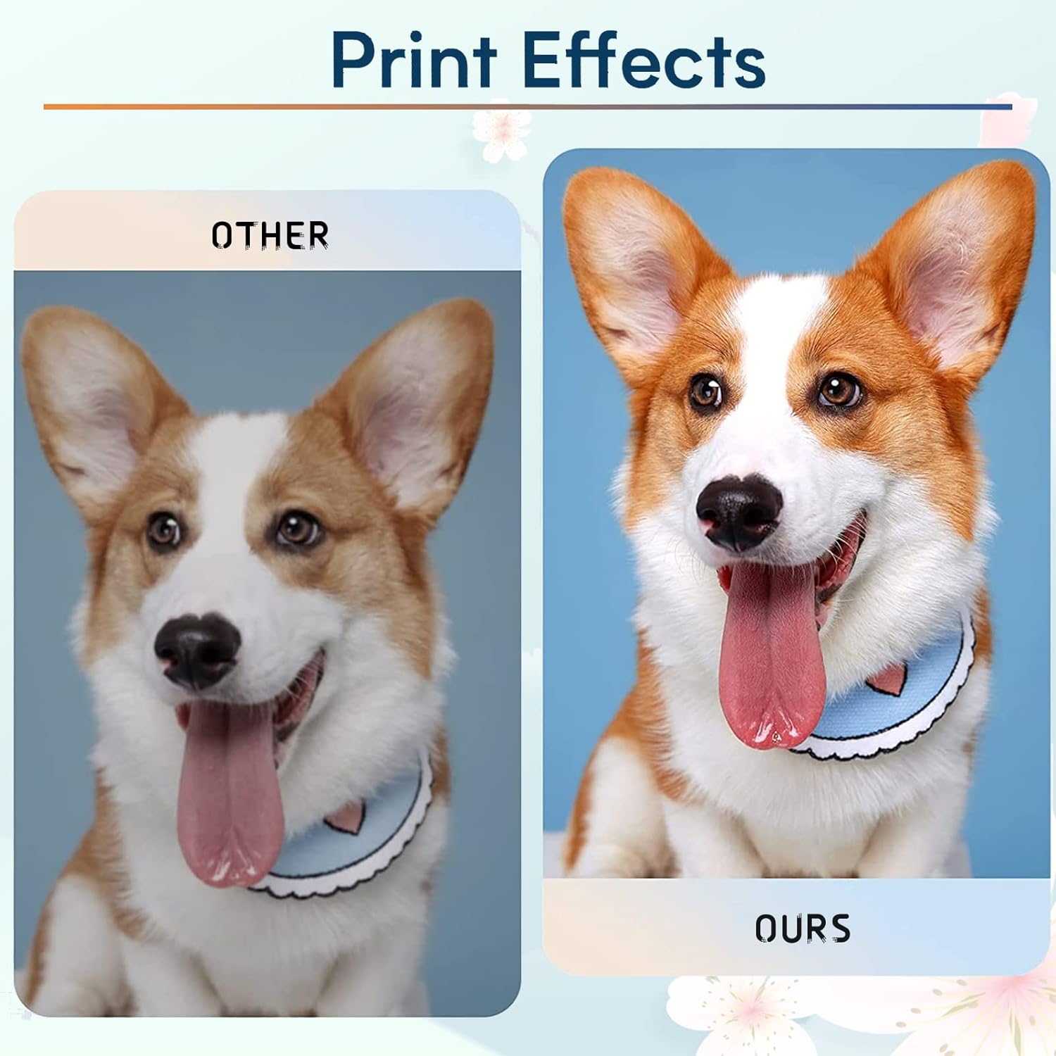 Pair of 2-Packs: Compatible HP 65XL Tricolor and Black Ink Cartridges for HP AMP 120 Deskjet 2620 3720 Envy 5010 5020 5030 (Set of 4) - Office Catch