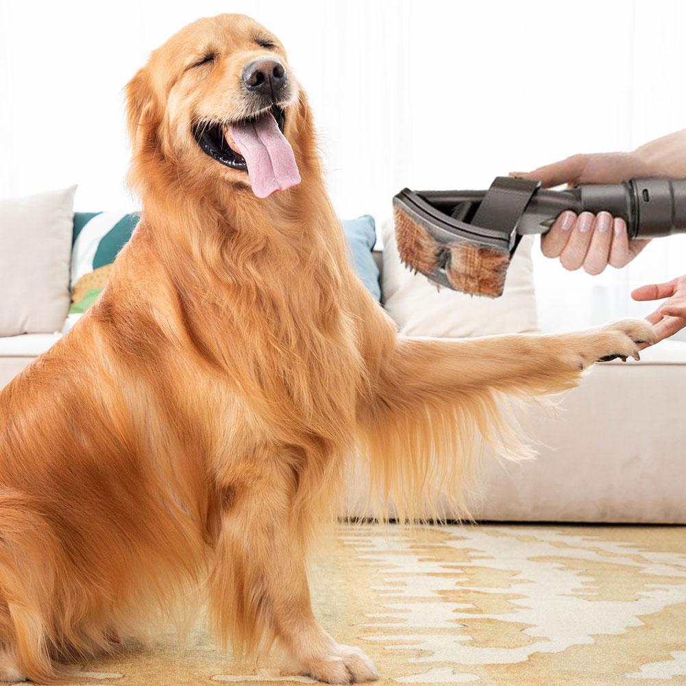 Pet Grooming Tool Attachment Head For Dyson Vacuums - Office Catch