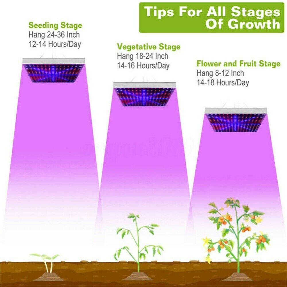 225 LED Grow Light 2000W Hydroponic Kit For Plants Flowers Vegetables Indoors - Office Catch