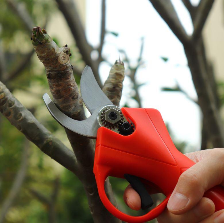 Wireless Electric Pruning Shears Li-ion Secateur Garden Branch Cutter Tools（with 2 Battery） - Office Catch